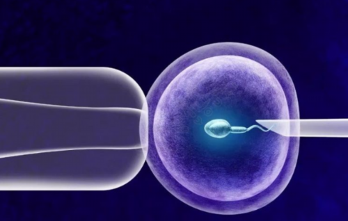 试管婴儿背后的“千亿蛋糕”