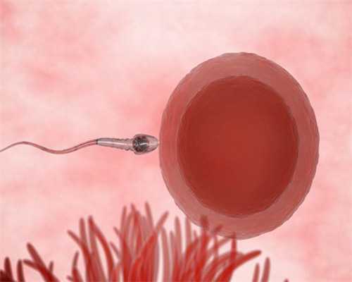 求子代怀网_专业代怀价格表_不经中介去泰国bnh做试管婴儿要提前做好哪些准备