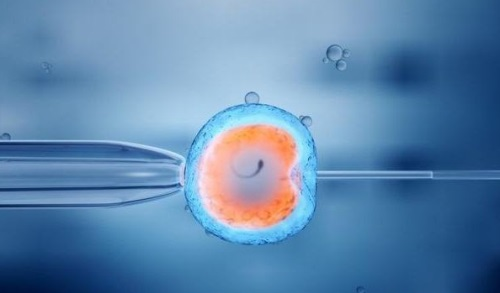 代生公司具体位置_代生产子的流程|「焦点」石家庄试管助孕中心是什么