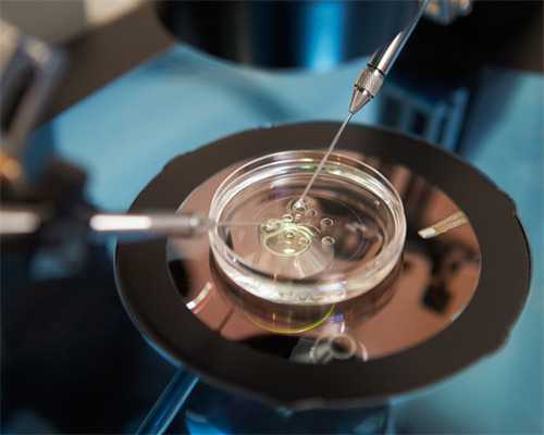 不经中介自己独自去泰国做试管会被坑吗?