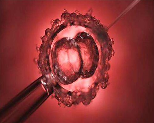 代怀收费多少_品牌代怀网_2026赣州试管婴儿医院排名,附成功率及费用介绍