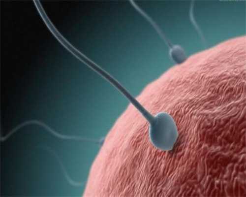 合肥代生孩子方案|合肥901医院做供卵试管婴儿大概多少钱？2026合肥901医院供卵