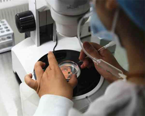 金华女性甲减做试管有影响吗，甲减做试管生育的影响和成功几率