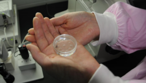 代怀孕代码价格表_哪里有人需要代怀_2l72k_西安市做试管婴儿的医院中成功率排