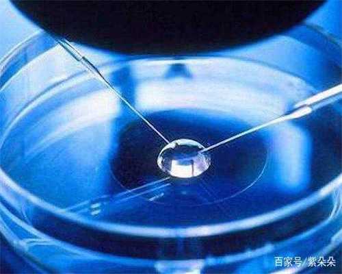 在哪能找到代怀的_代怀贵不贵_4n8rv_孕期，胎心胎芽迟迟没出现，是怎么回事？