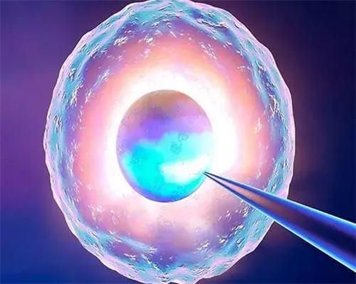 6VO53_降调成功后激素三项正常值是多少？