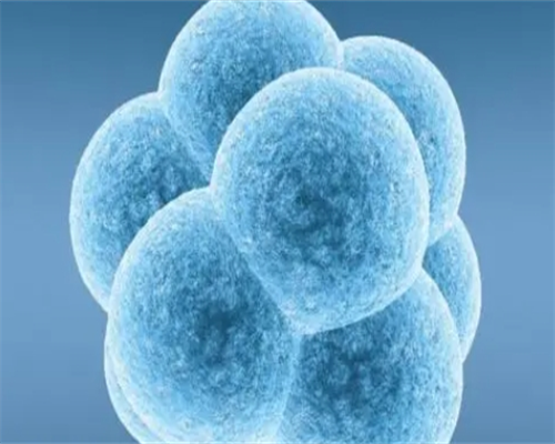 51宝贝试管代孕_三代试管费用明细|2026
烟台山医院试管婴儿费用一览 ，附真实