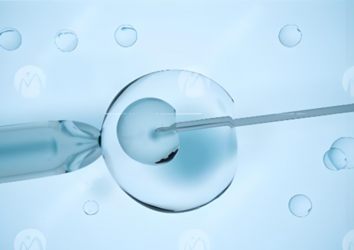 代怀有联系方式吗_有代怀吗_结婚3年不孕能在平凉当地做试管婴儿吗？