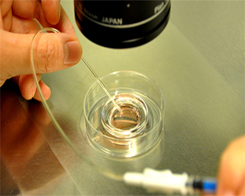 合肥做代怀费用|合肥安医做试管婴儿大概需要多长时间和费用