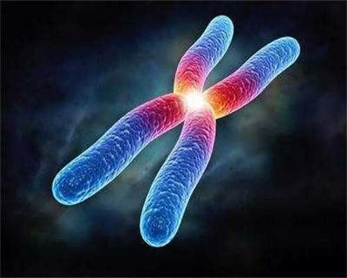 智商可预测，未来试管婴儿将可选择“最聪明的”胚胎