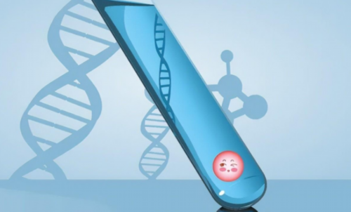 2026适合添丁生男孩的五大生肖是哪些？