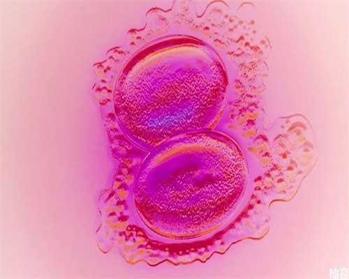 在湖北省妇幼保健院生殖科做三代试管要多少钱？附成功率预估表