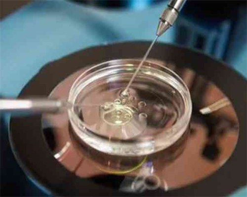 合肥供卵专业中心|合肥三代试管要求什么条件合肥试管成功率高排名