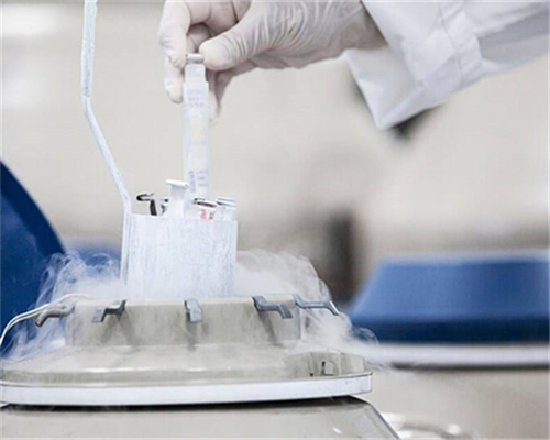 46岁供卵的成功率_50岁借卵自怀|江西试管婴儿:新余市哪里能做试管婴儿?业内