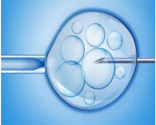 合肥代孕价格网|合肥供卵试管成功率(合肥供卵试管)