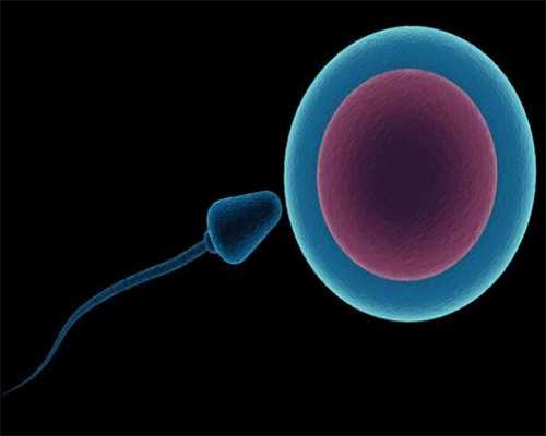 代怀咨询_代怀中介哪家好_保山试管婴儿费用大概要多少钱第三代?保山哪家医