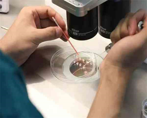 安徽iso认证,安徽iso认证办理电话,安徽iso认证机构