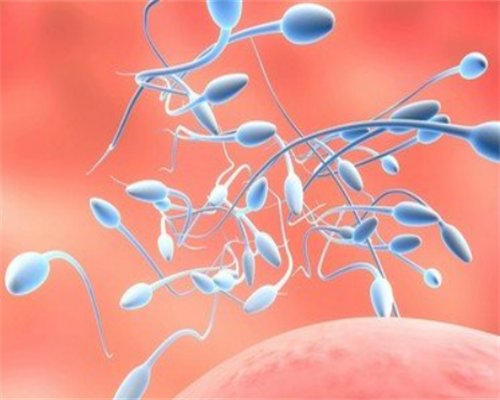 给别人代生孩子_代生费用多少|石家庄供卵是什么:石家庄试管供卵机构