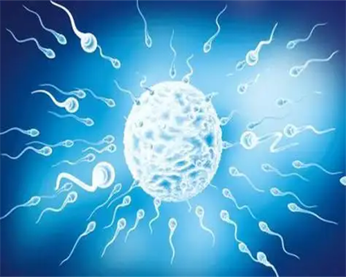 合肥代怀供卵服务 合肥试管婴儿医院费用明细(有姐姐的经历) ‘胎心率nt测男女