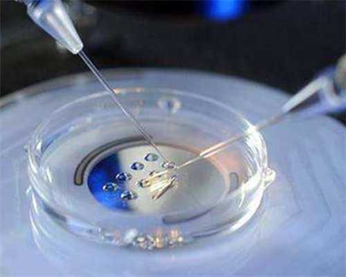 宠文：《团宠：暴躁大佬三岁半》，剧情不俗值得入坑，五星强推！_425R8