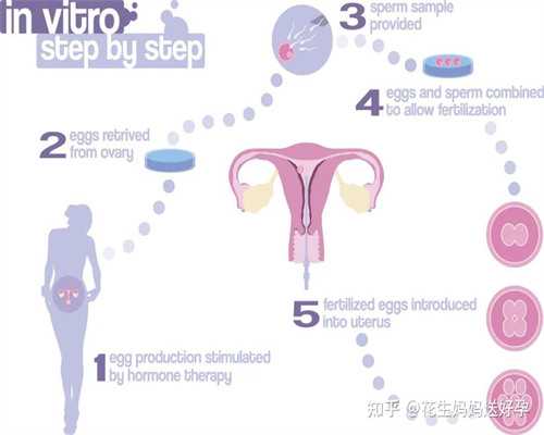 代生公司地址_代生产子合|云南可以做三代供卵试管的医院有哪些?附云南供卵