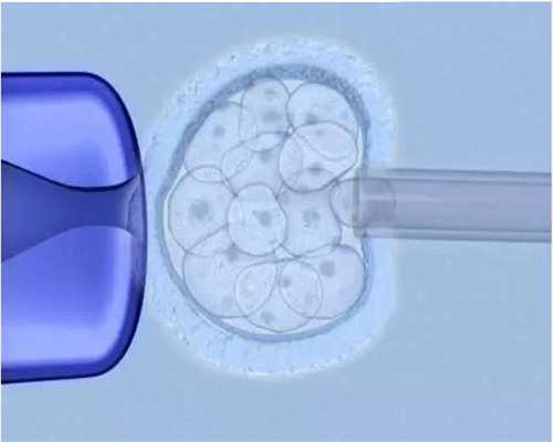 双胞胎代怀网_代怀孕保密咨询_衢州公立试管医院中成功率排名第一的是哪家?