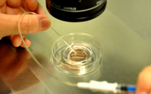 代生公司包生女孩_代生孩子价格|广西供卵试管助孕费用统计表附供卵试管助孕