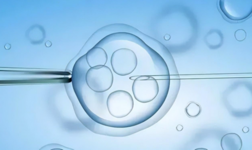 给别人代生孩子_代生费用多少|2026
年辽宁省供卵试管助孕费用明细价格一览表