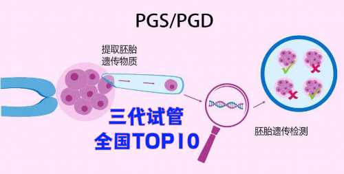 出国代生_代生子双胞胎费用|2026石家庄三代试管医院排名，附最新助孕成功率及