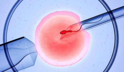 aa69助孕地址_3代试管供卵婴儿|泰国试管攻略之提前准备调理IVF受孕率高