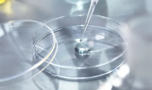 合肥代生儿子生殖 合肥哪个医院能做试管婴儿?在国内该怎么选择试管婴儿医