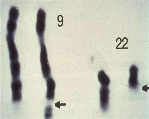 代生产子_代生花钱是多少|石家庄助孕包成功价格,孕育困难久治不孕家庭