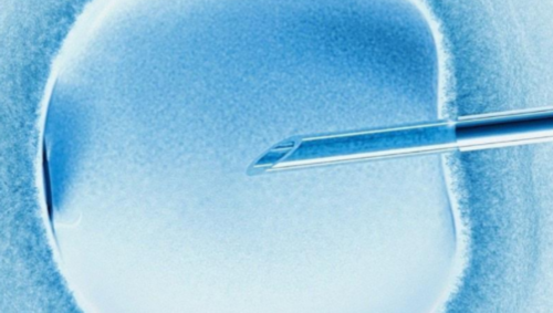 代怀要花多少钱_代怀双胞胎价格_汕尾试管婴儿费用大约多少,汕尾哪个医院有