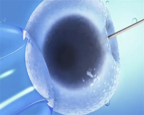 代怀孕哪_代怀收费多少_240斤的胖子能做试管婴儿吗?