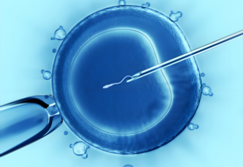 试管婴儿或者代孕的孕妈妈为什么会去做亲子鉴定？