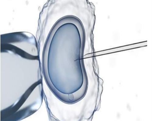 65万包成功_代怀专业吗_哈尔滨有没有供卵的机构 哈尔滨供卵试管费用多少，