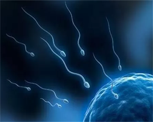 35万代孕包男女_三代助孕试管排名|梅河口有没有可做一代试管婴儿技术的公立