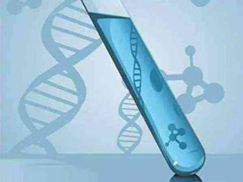 合肥供卵试管平台 合肥宝宝派出所上户 ‘4.2*2.6*2.3妊娠孕囊是男女’