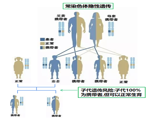 做试管婴儿不能想当然 这样做才更容易成功