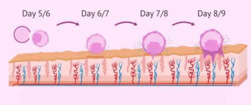 知识科普：关于第一代试管婴儿，你知道多少？_7mqki