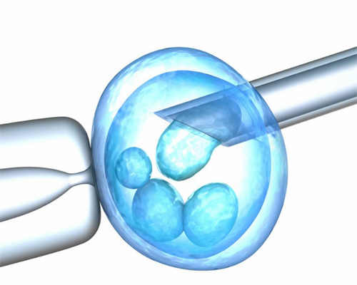 地下试管实验室供卵靠谱吗?