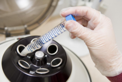 代怀价格多少钱_代怀服务公司_2026烟台市烟台山医院试管婴儿成功率一览，附