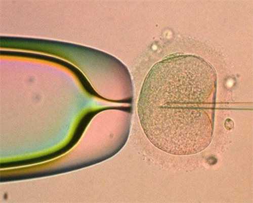 合肥代怀多少钱 2026合肥试管婴儿医院排名，附成功率、费用介绍 ‘孕十九周尿