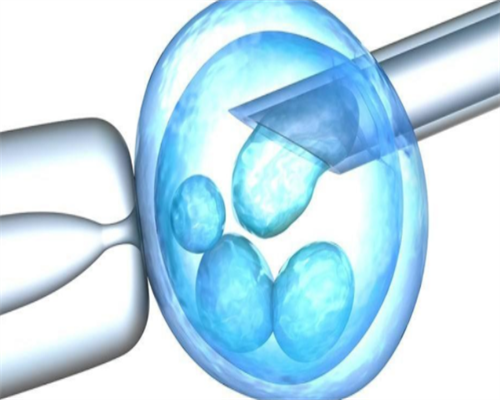 借卵代怀_代怀网价格表_备孕期间正确吃黑豆有助于怀男孩吗？