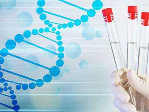 2026急找代妈_3代试管供卵费用|江西吉安有医院可以做试管婴儿吗？技术好不好