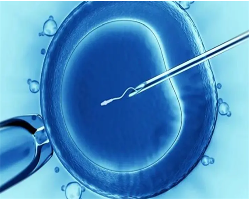 三代试管咨询唯美加_代妈价格哪里高|阳泉做试管一共要花多少钱,山西做试管