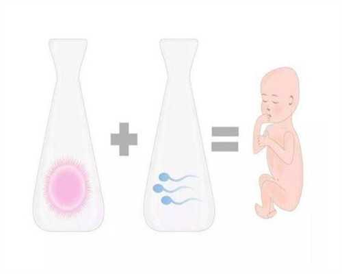 产妇可以吃牛肉萝卜吗