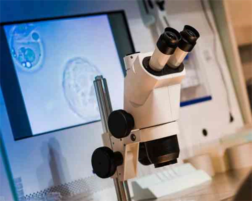 艰辛孕程|有的花十几万做试管婴儿 有的怀不上三年不敢回家