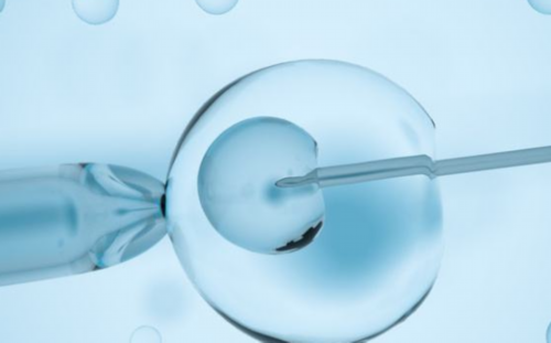 60后绝经供卵试管_三代试管生儿子|雅安多囊卵巢综合征可以做试管吗多囊卵巢