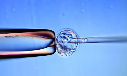 代怀代生男宝宝_有哪些代怀站_试管婴儿的费用要多少-陕西试管婴儿医院大全